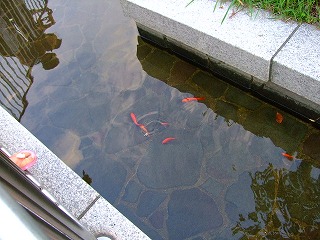 お魚さん