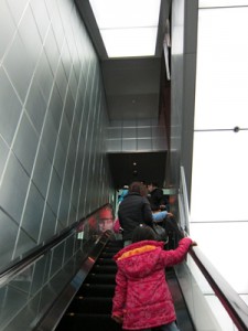IMG_0380s