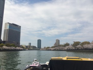 大川さくらクルーズ (21)