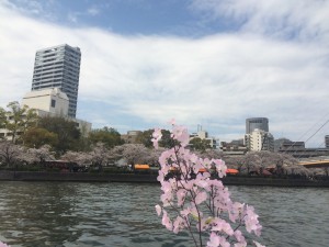 大川さくらクルーズ (15)